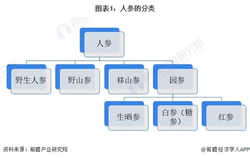 預見2024 中國人工智能基礎軟件開發賦能下的人參行業全景圖譜